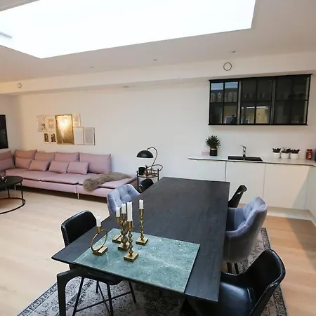 Classy Elegant With Private Terrace Apartment Copenhagen